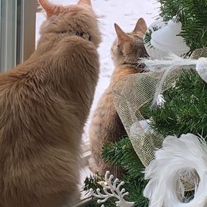 Meet your Posher, Karla